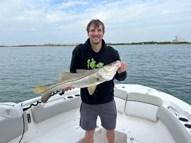 Listing image 1163928