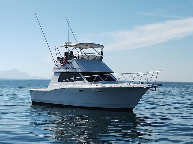 Listing image 1164137