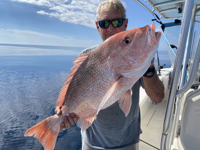 Listing image 1179347