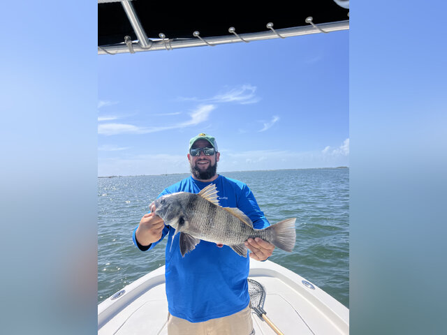 Listing image 1263144