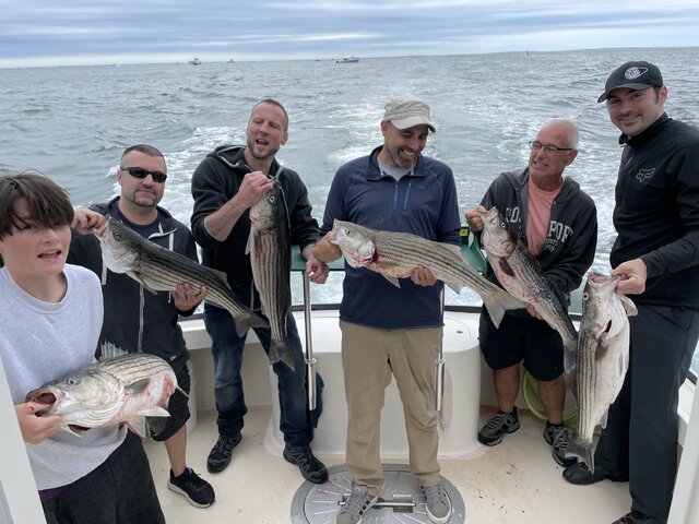 Listing image 1164792