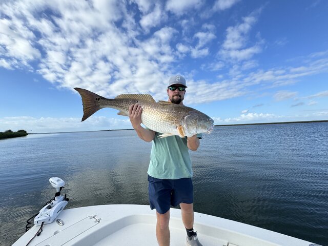 Listing image 1165495