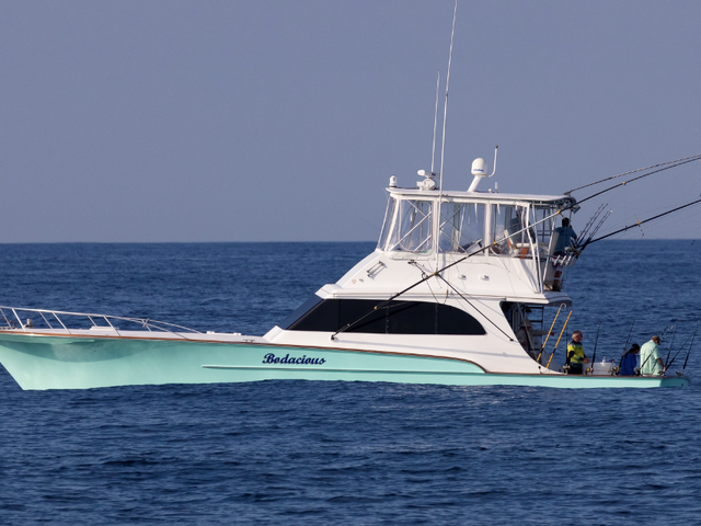 Listing image 1170540