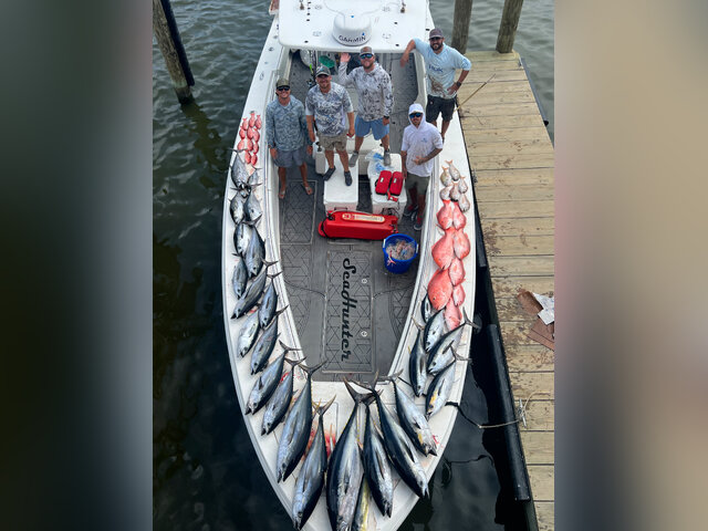 Listing image 1166117