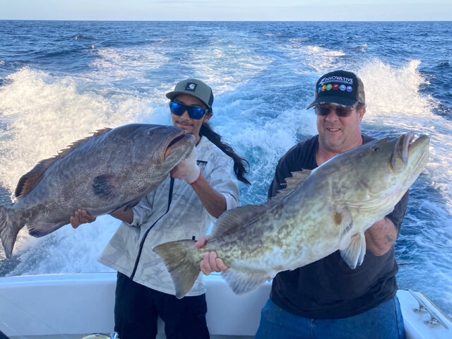 Listing image 1166238