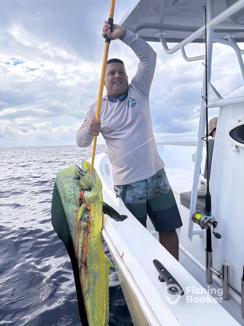 Sosa Fishing (Koloncho) - Updated 2026 Prices