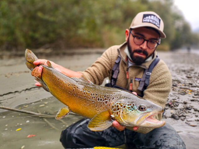 Listing image 1167837