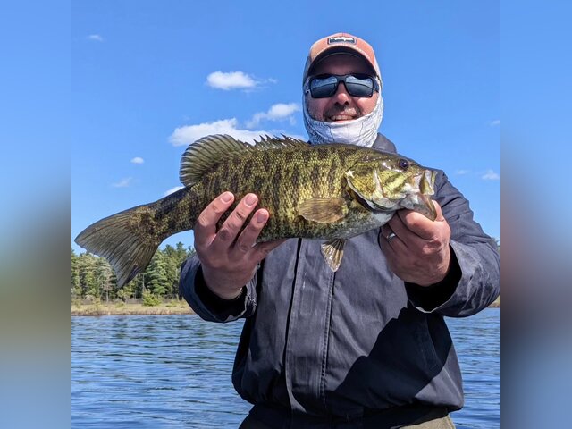 Listing image 1168212