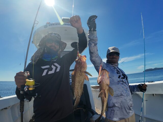 Listing image 1181276