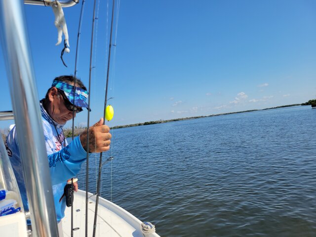 Listing image 1171612