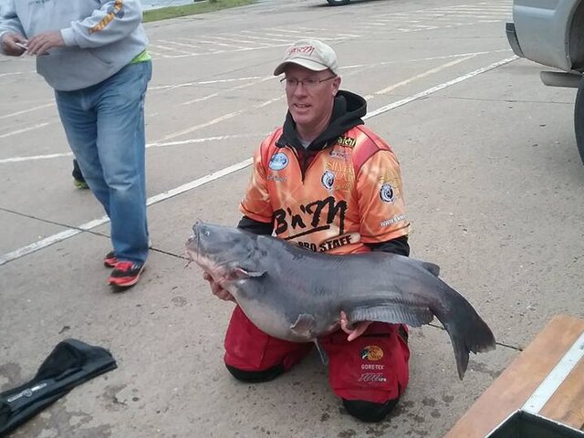 Listing image 1170230