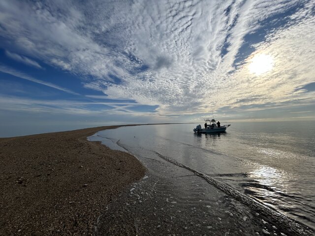 Listing image 1170926