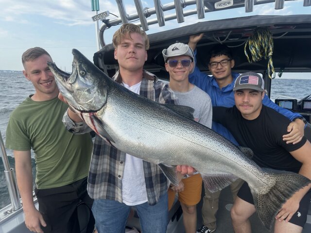 Listing image 1170951