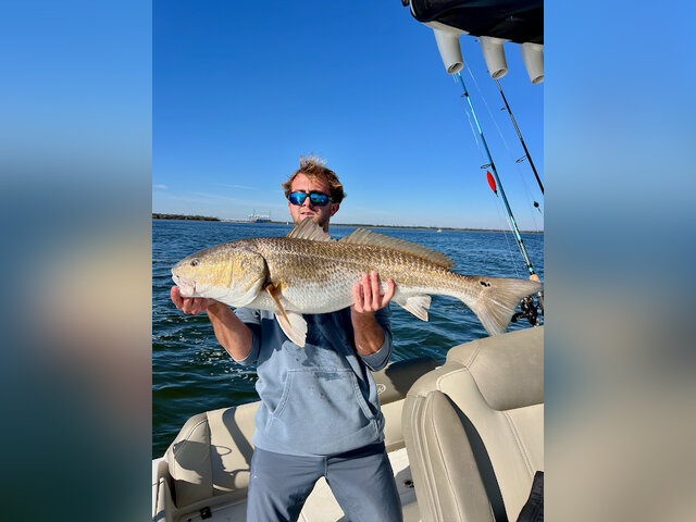 Listing image 1186120