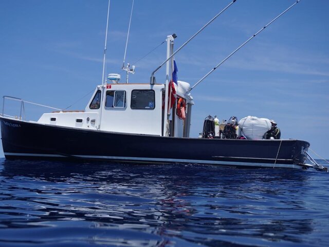 Listing image 1172037