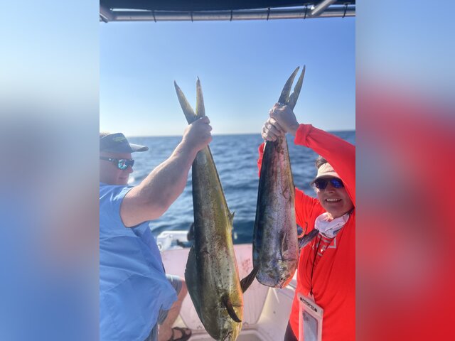 Listing image 1369320