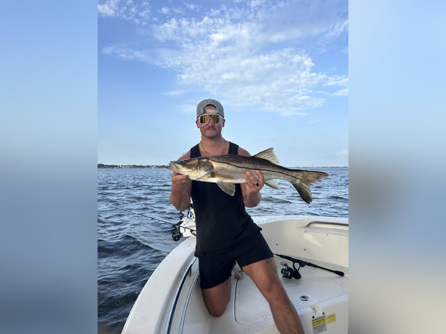 Listing image 1199505