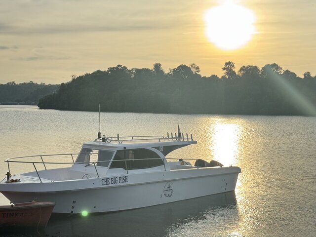 Listing image 1172402