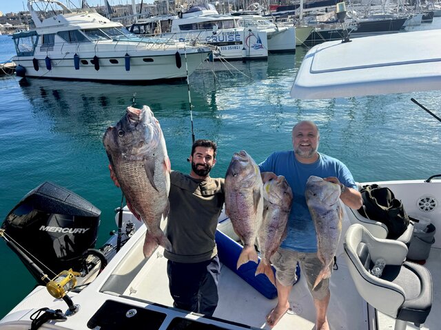 Listing image 1173100