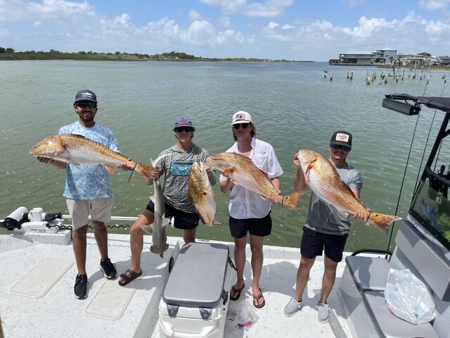 Listing image 1174055