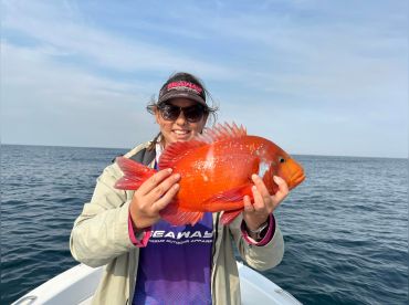 Cape Point Yellow Tail Personal Angling thumbnail
