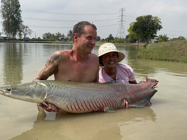 y*u様 トップブリッジFLAT ARAPAIMA BIG使用品です。 Arapaima Fishing Park - Updated 2026 Prices