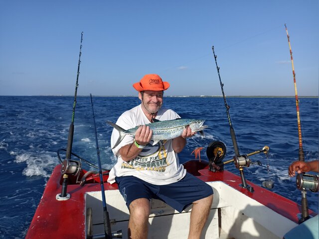 Listing image 1177408