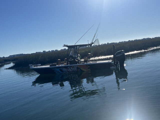 Listing image 1176459