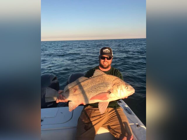 Listing image 1177365