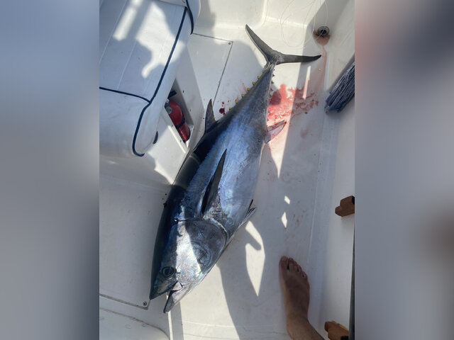 Listing image 1177604