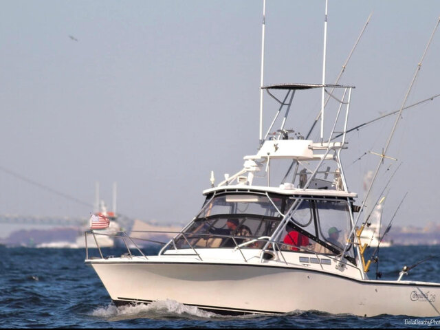 Listing image 1178114