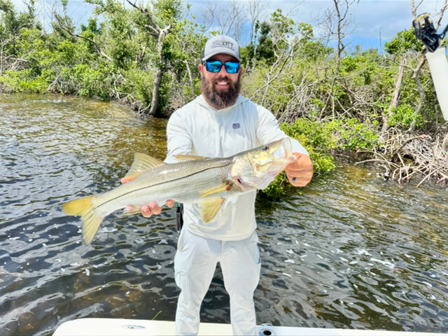 Listing image 1248858