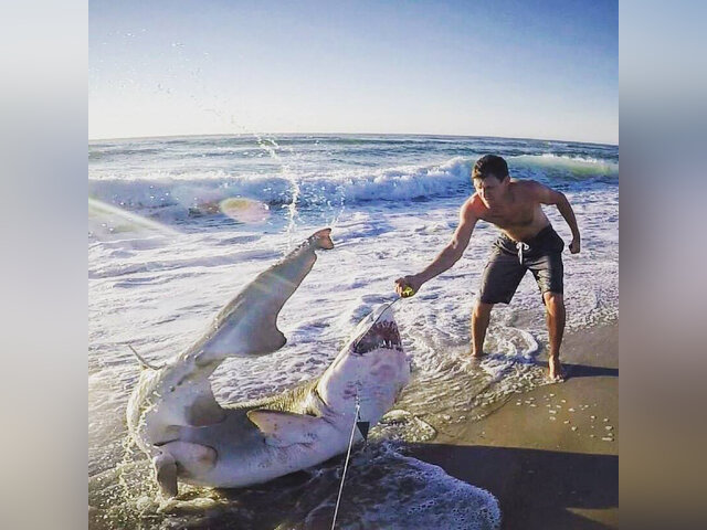 Listing image 1178836