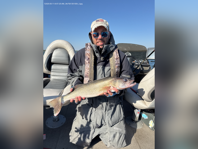 Listing image 1187712