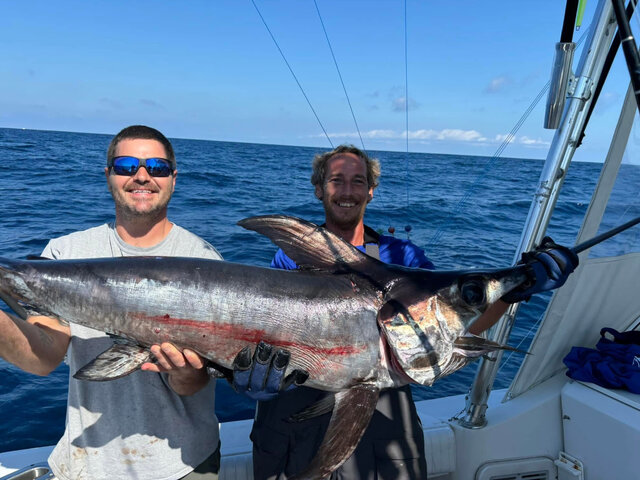 Listing image 1179266