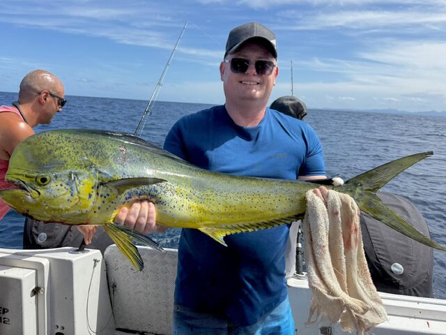 Listing image 1180252