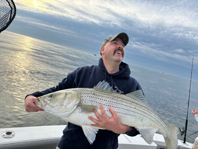 Listing image 1180433