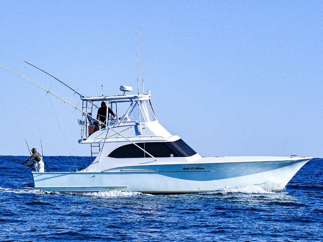 Listing image 1186230