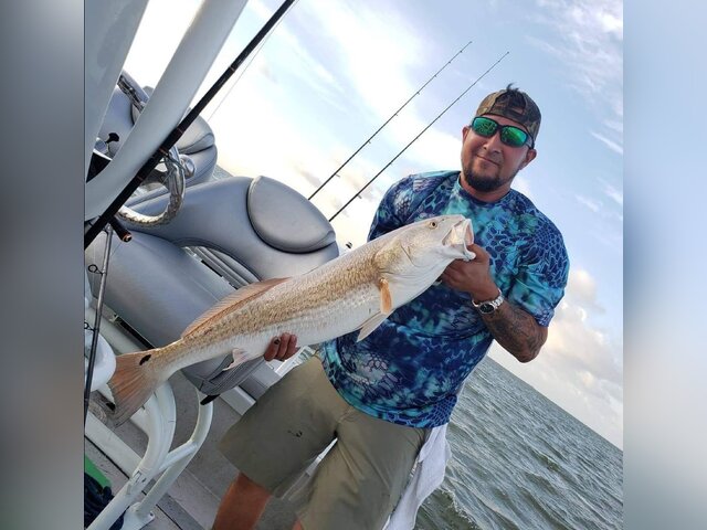 Listing image 1181845