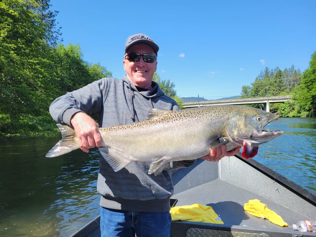 Listing image 1182758