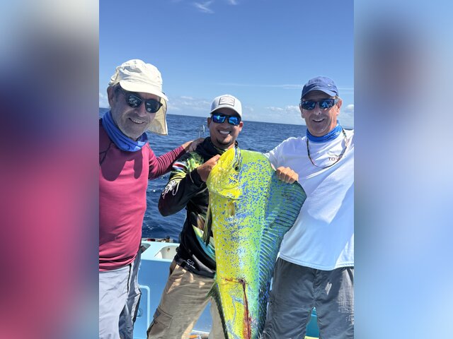 Listing image 1291308