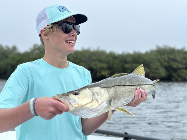 Listing image 1183666