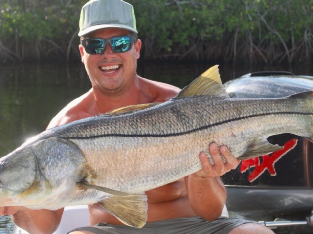 Listing image 1183606