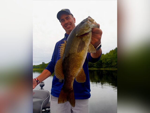 Listing image 1251884