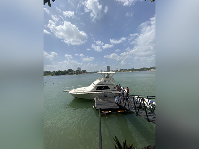 Listing image 1184166