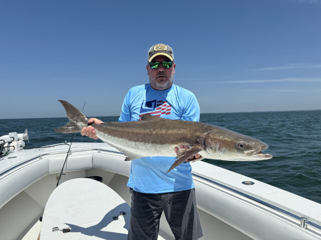 Listing image 1204230