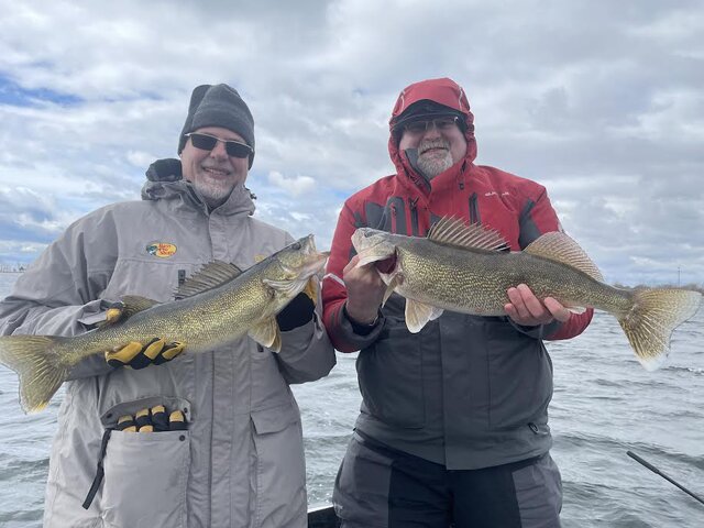 Listing image 1184890