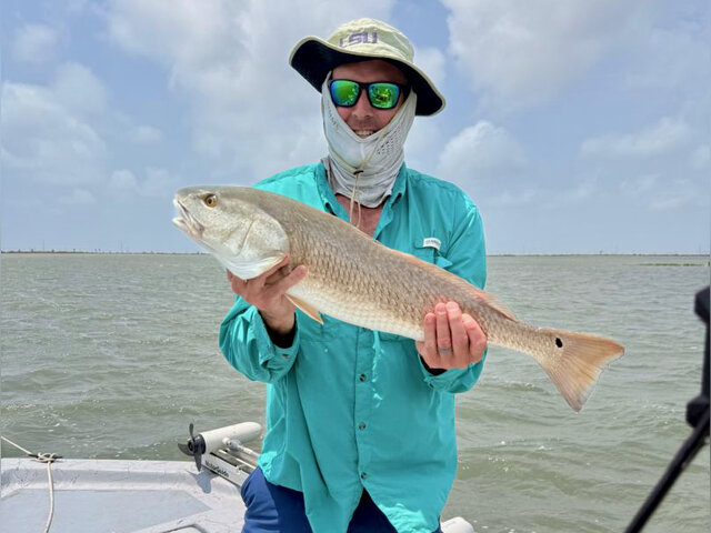 Listing image 1217069