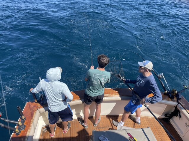 Listing image 1188878