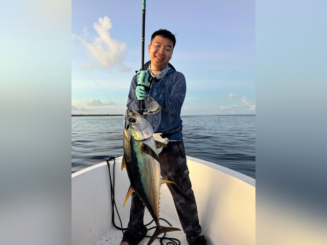 Listing image 1186838